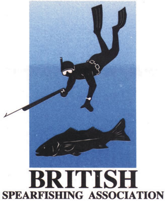 BSA
